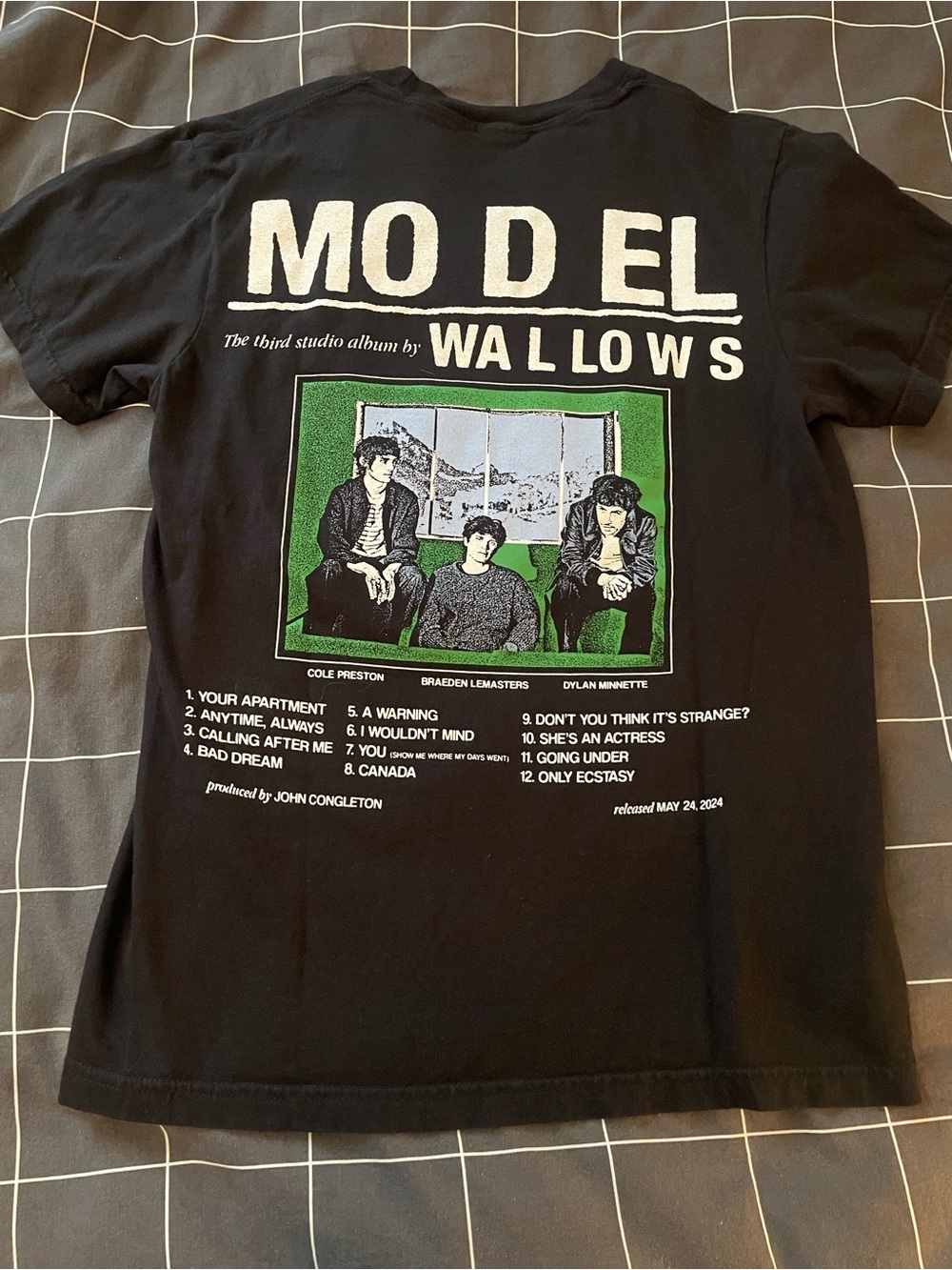 Wallows Model album tee Size S